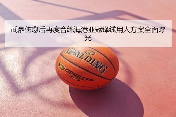 武磊伤愈后再度合练海港亚冠锋线用人方案全面曝光